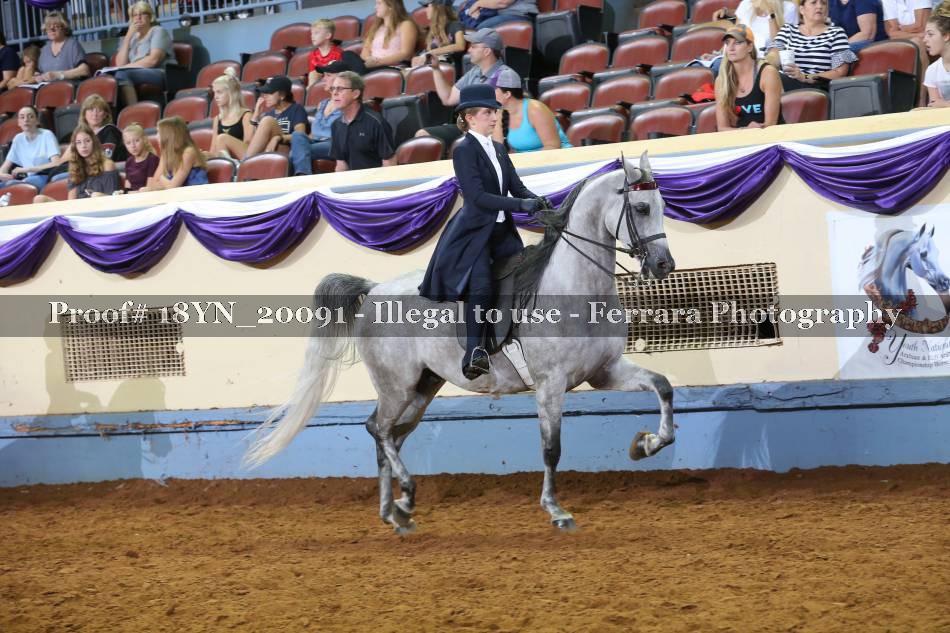 Proof 18YN_20091
