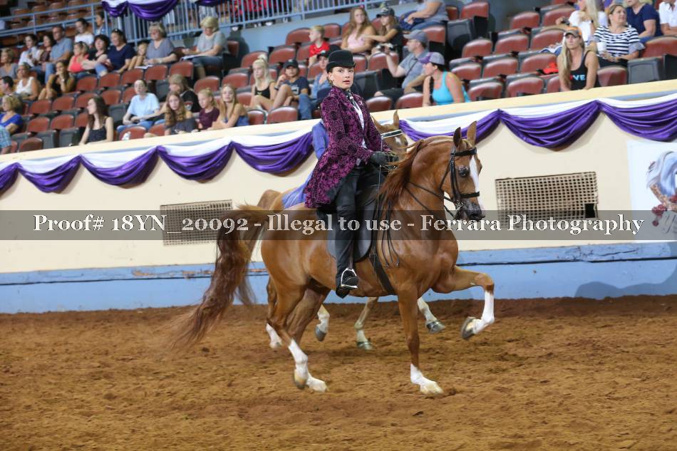 Proof 18YN_20092
