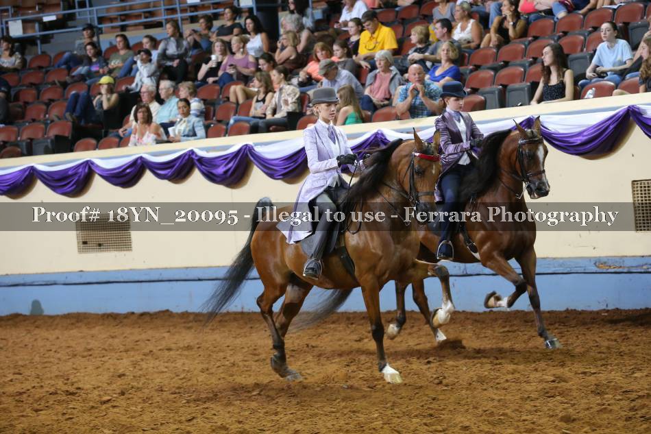 Proof 18YN_20095