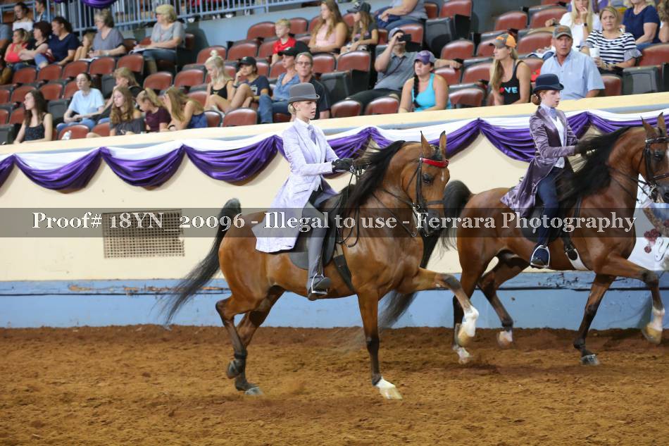 Proof 18YN_20096