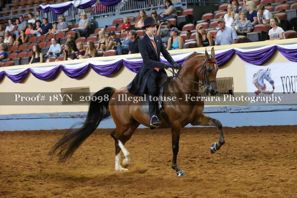 Proof 18YN_20098