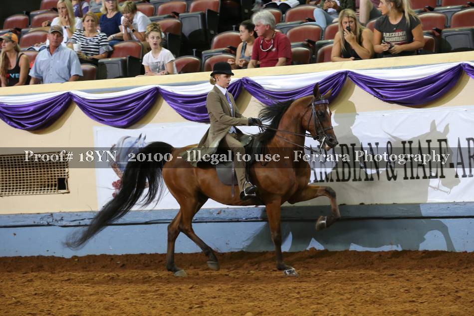Proof 18YN_20100
