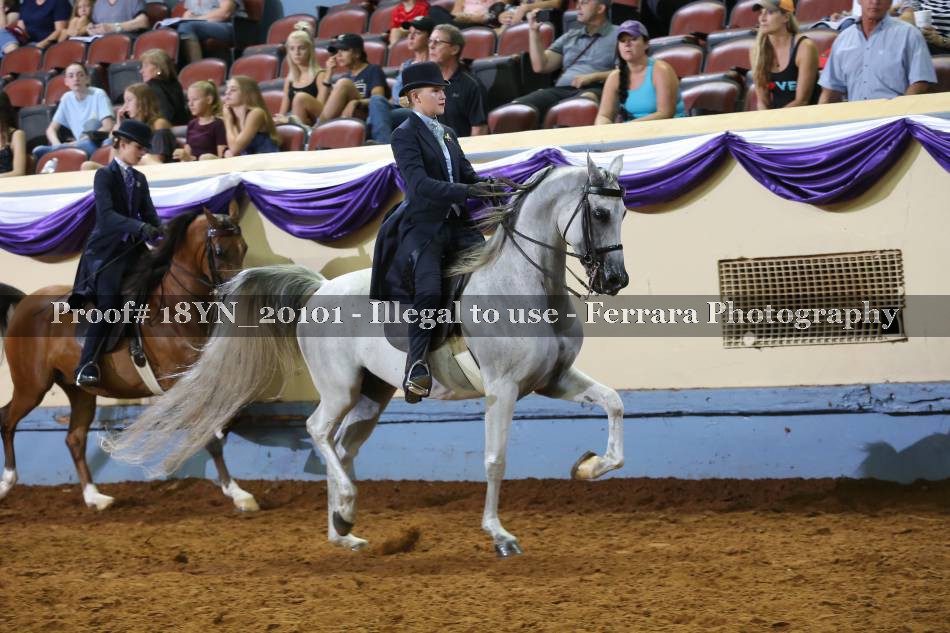 Proof 18YN_20101