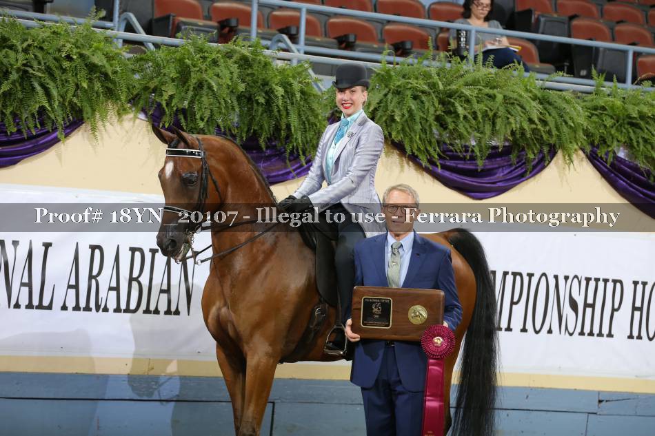 Proof 18YN_20107