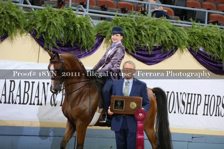 Proof 18YN_20111
