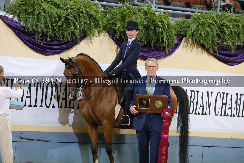 Proof 18YN_20117