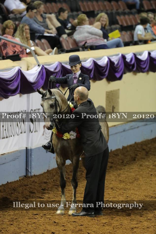 Proof 18YN_20120