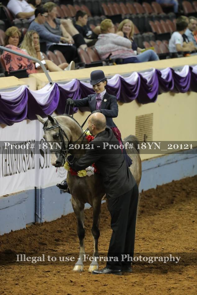 Proof 18YN_20121