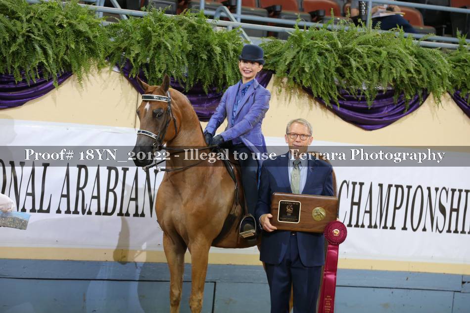 Proof 18YN_20122