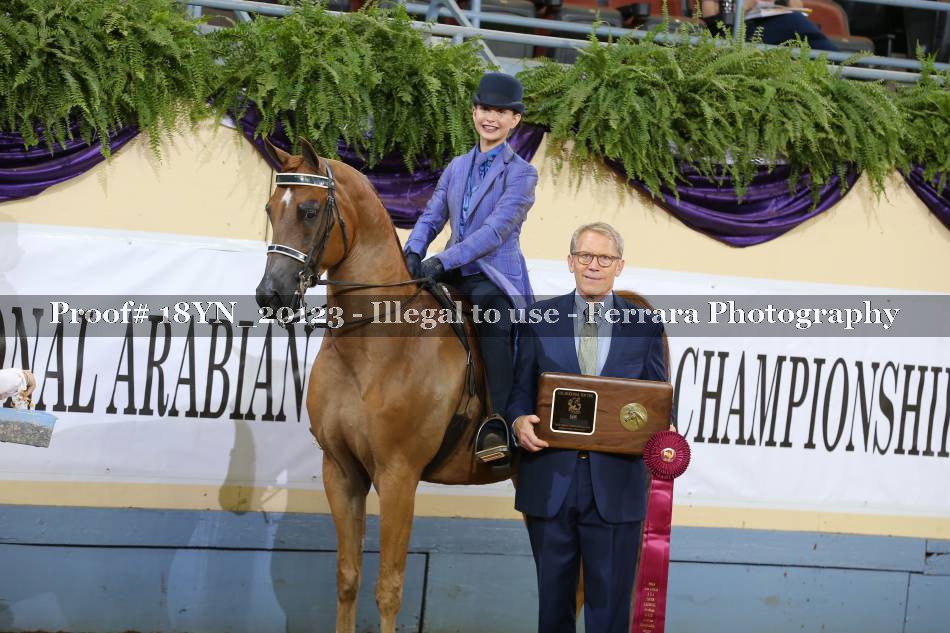 Proof 18YN_20123