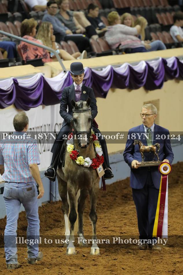 Proof 18YN_20124