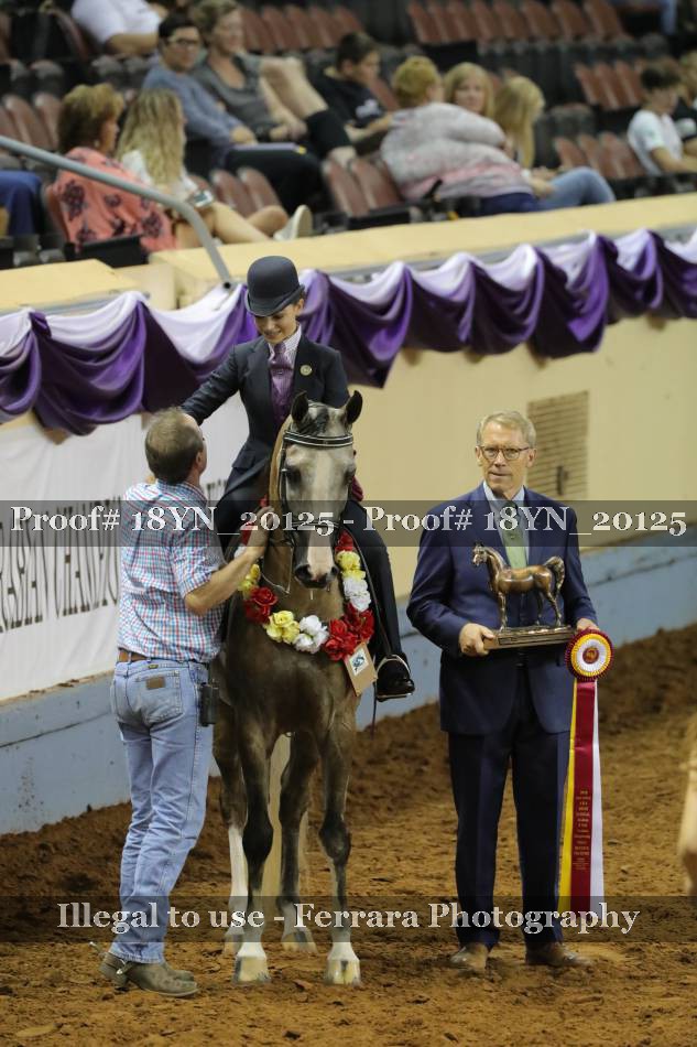 Proof 18YN_20125