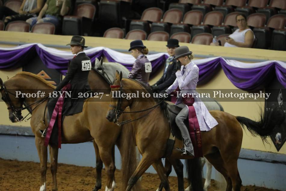 Proof 18YN_20127