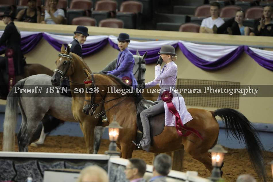 Proof 18YN_20128