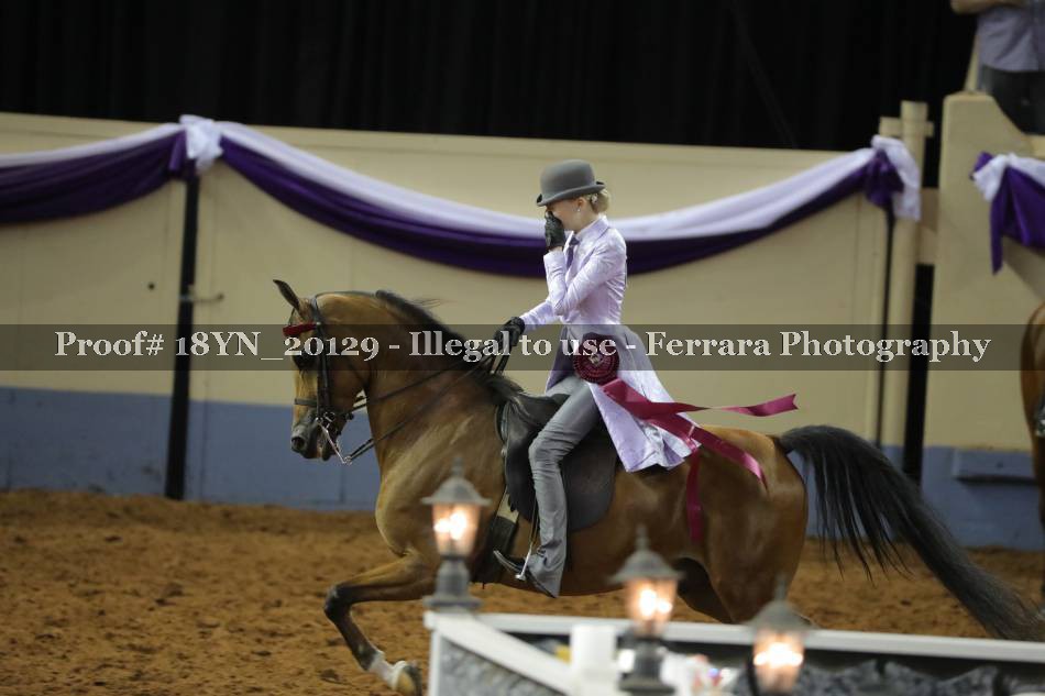 Proof 18YN_20129