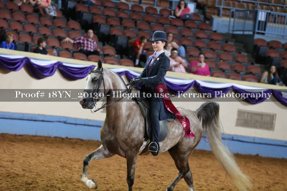Proof 18YN_20130