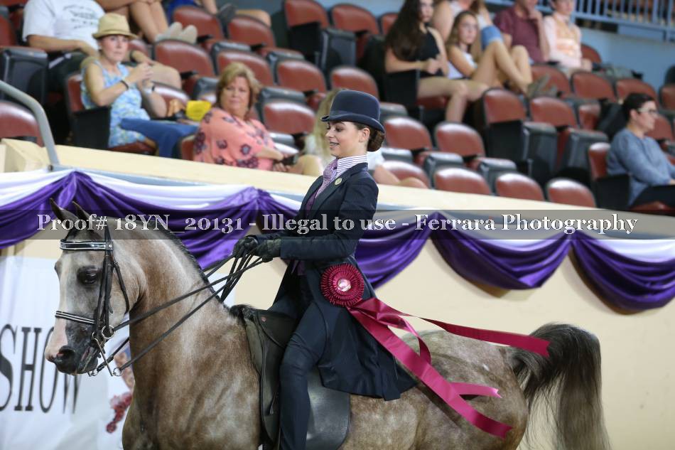 Proof 18YN_20131