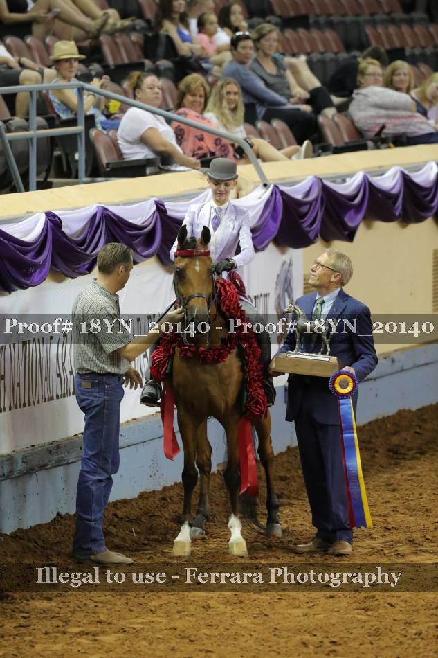Proof 18YN_20140