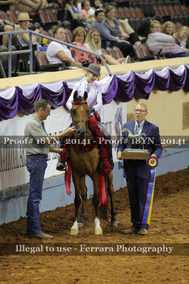 Proof 18YN_20141