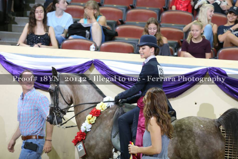 Proof 18YN_20142