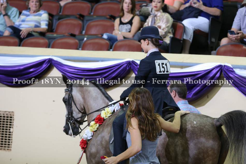 Proof 18YN_20144