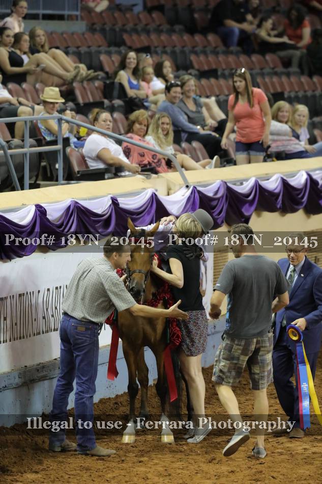 Proof 18YN_20145