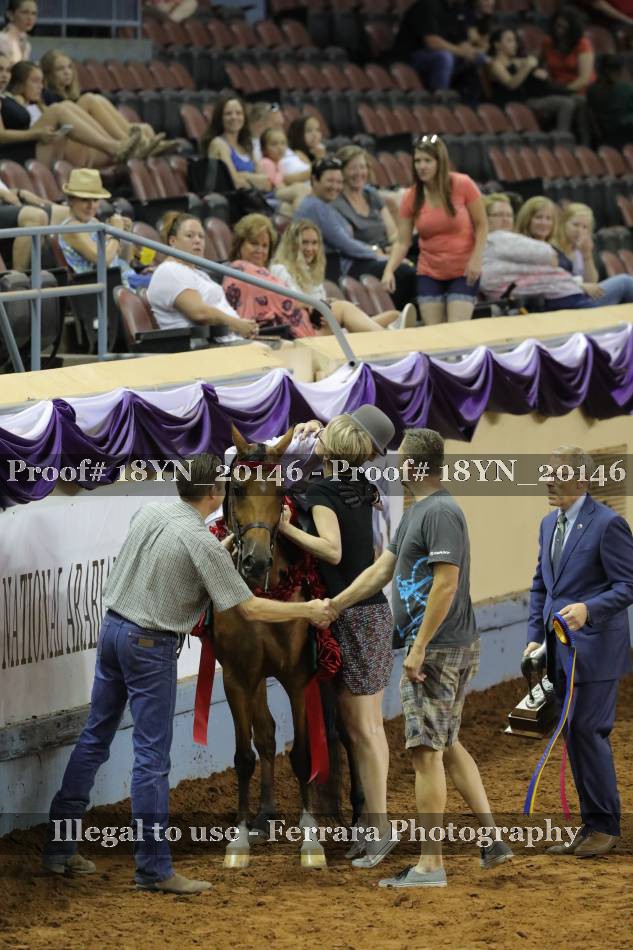 Proof 18YN_20146