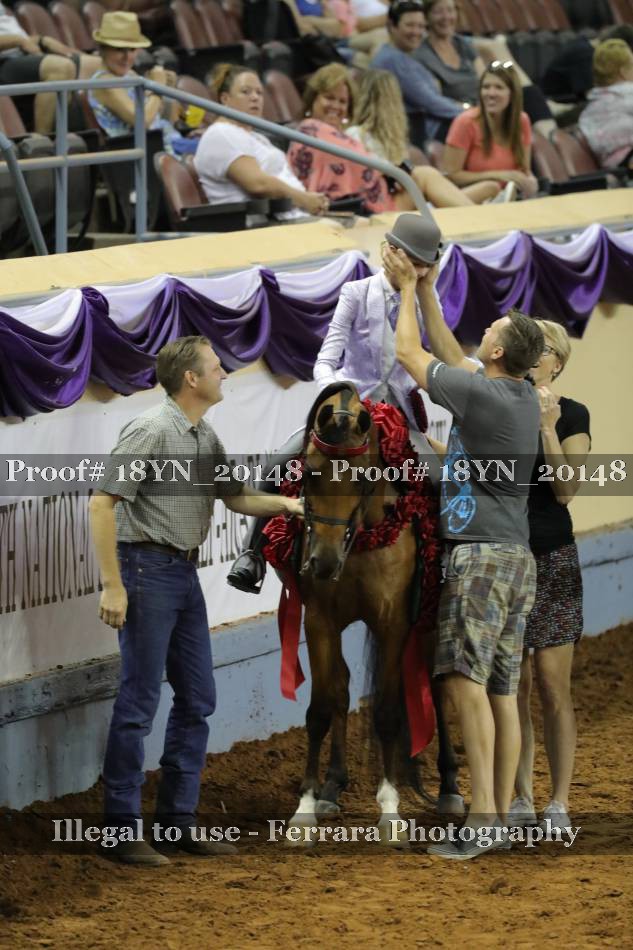 Proof 18YN_20148
