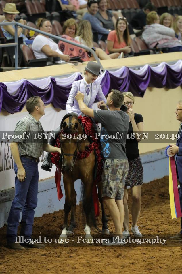 Proof 18YN_20149
