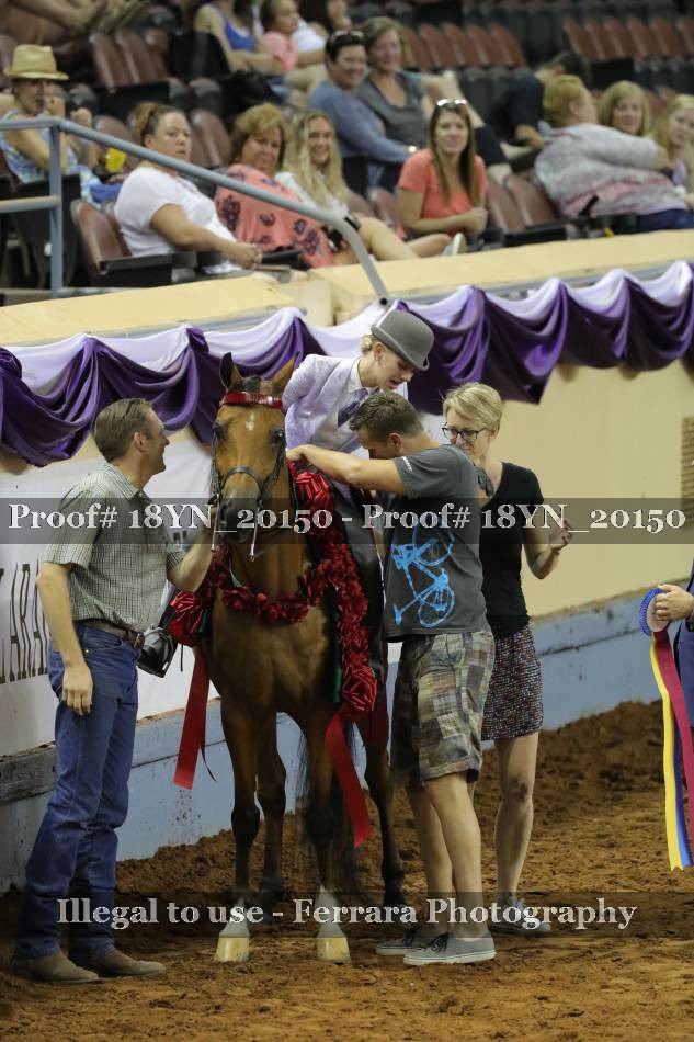 Proof 18YN_20150