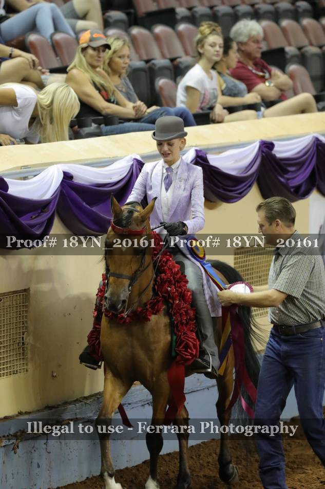 Proof 18YN_20161