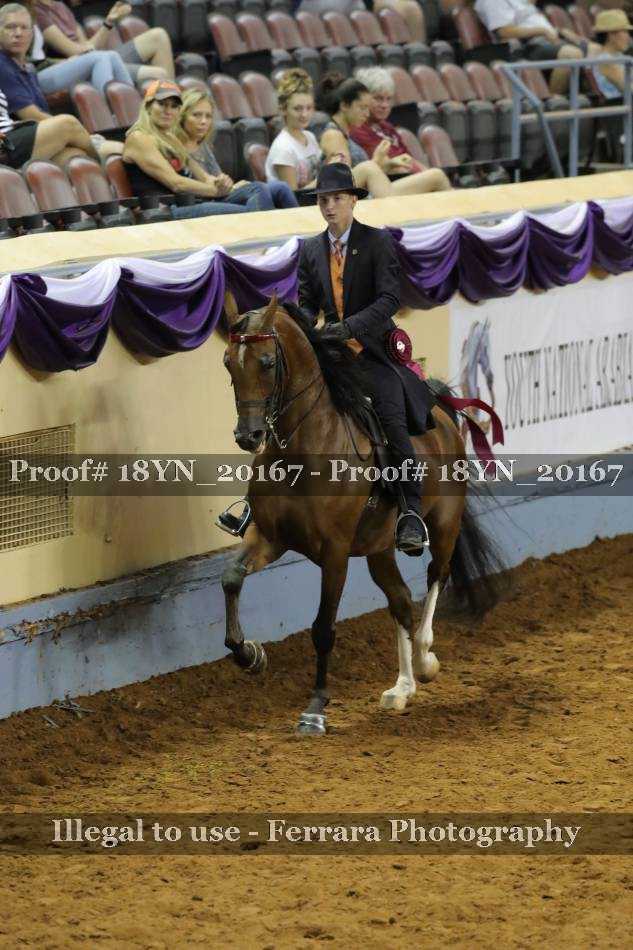 Proof 18YN_20167