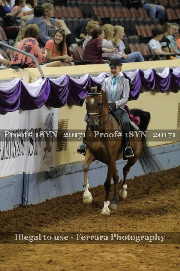 Proof 18YN_20171