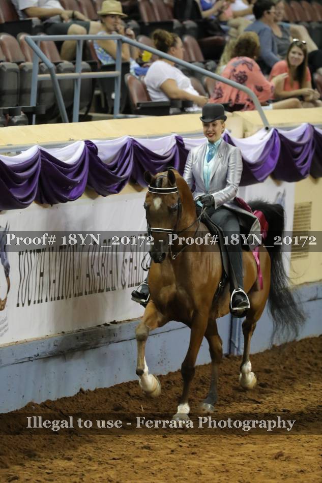 Proof 18YN_20172
