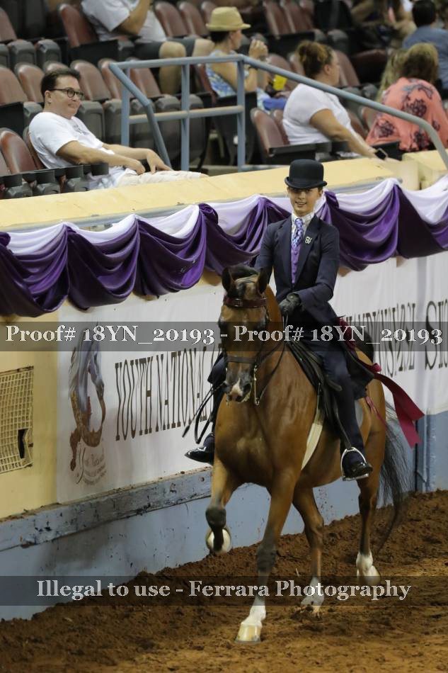 Proof 18YN_20193