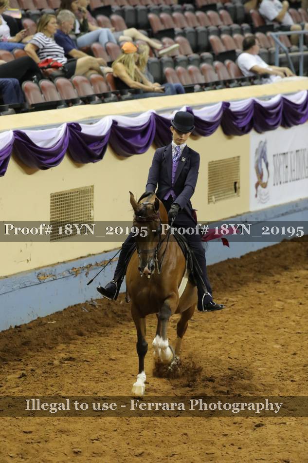 Proof 18YN_20195