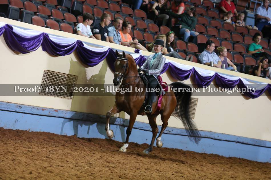 Proof 18YN_20201