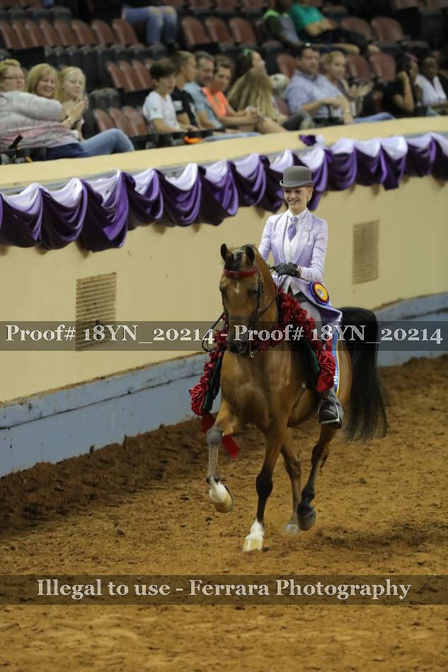 Proof 18YN_20214