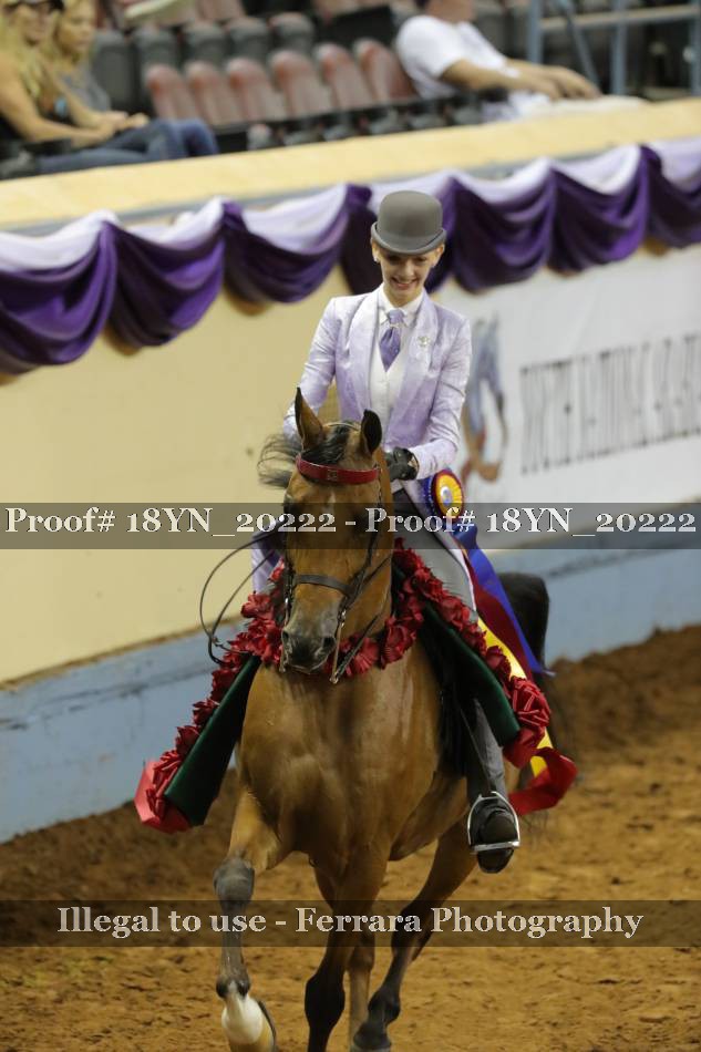 Proof 18YN_20222