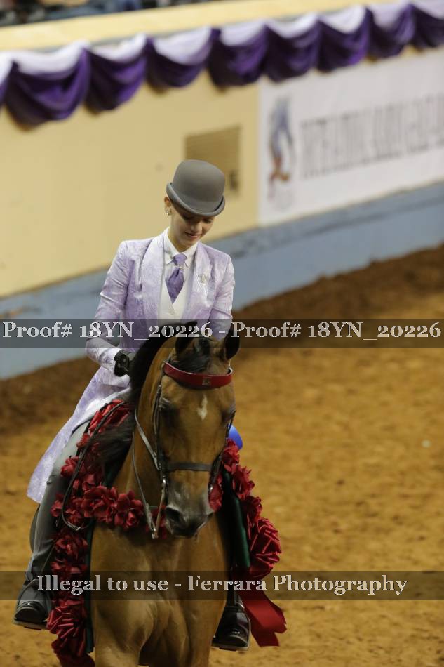 Proof 18YN_20226