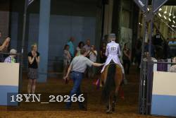 18YN_20266 proof