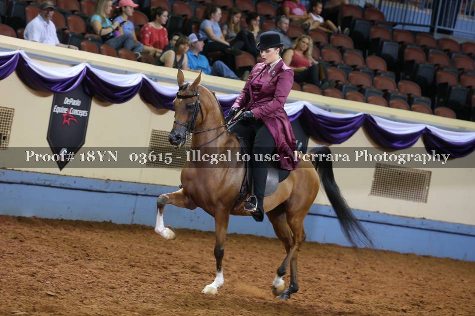 Proof 18YN_03615