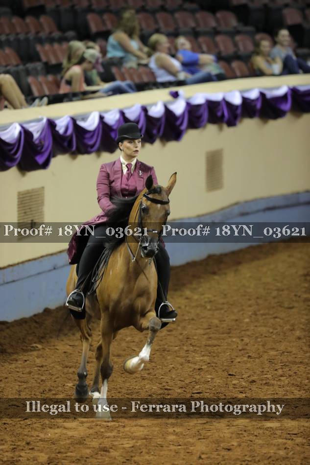 Proof 18YN_03621