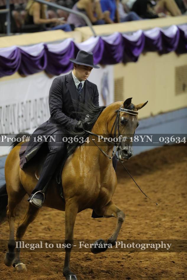 Proof 18YN_03634