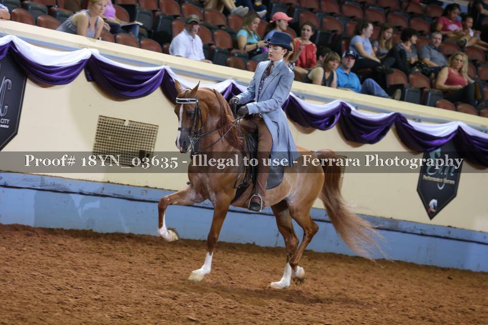 Proof 18YN_03635