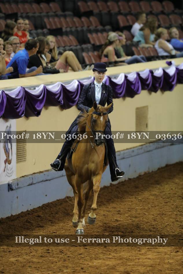 Proof 18YN_03636
