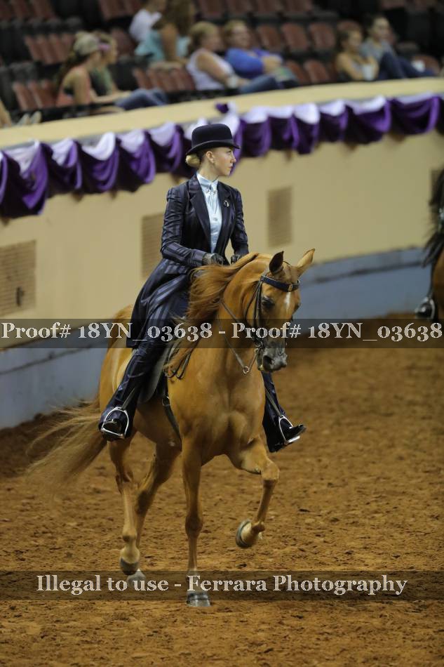 Proof 18YN_03638