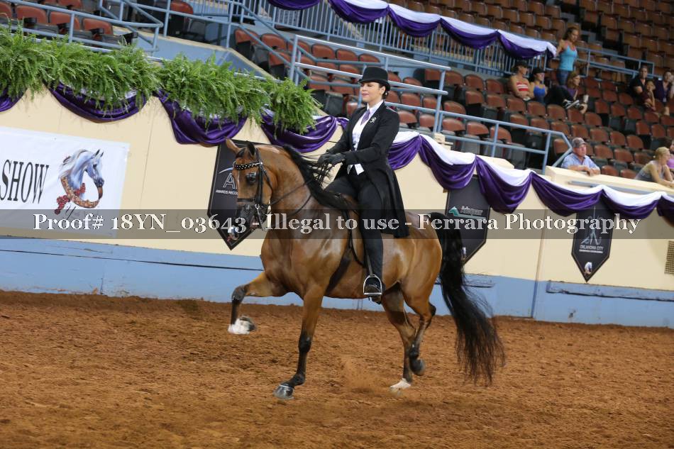 Proof 18YN_03643