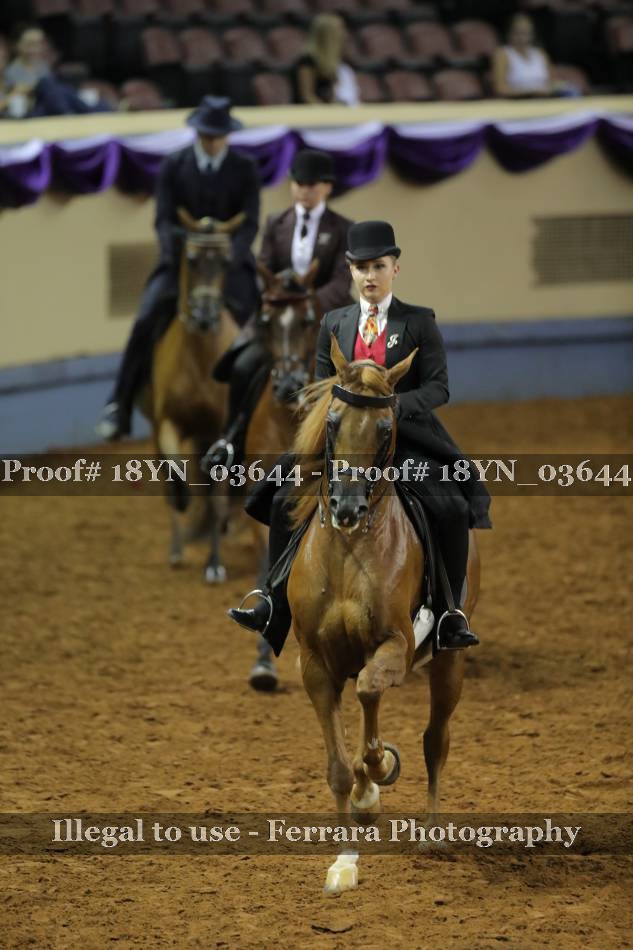 Proof 18YN_03644
