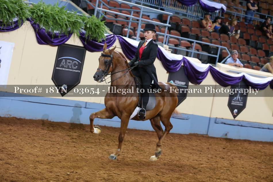 Proof 18YN_03654
